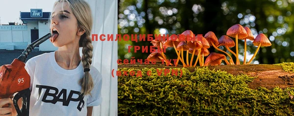 метадон Новодвинск