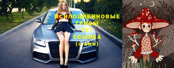 метадон Новодвинск