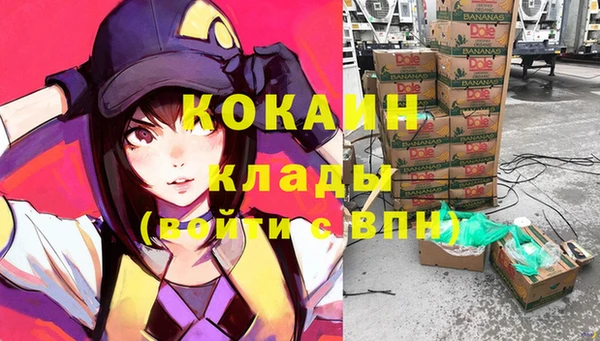 jwh Новозыбков