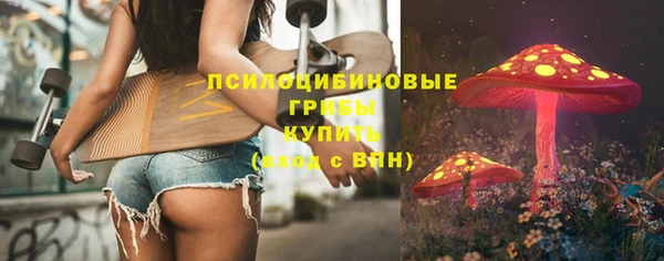 метадон Новодвинск
