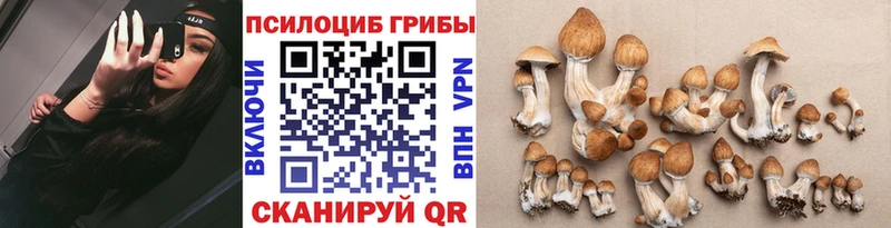 Галлюциногенные грибы MAGIC MUSHROOMS  магазин    Альметьевск 
