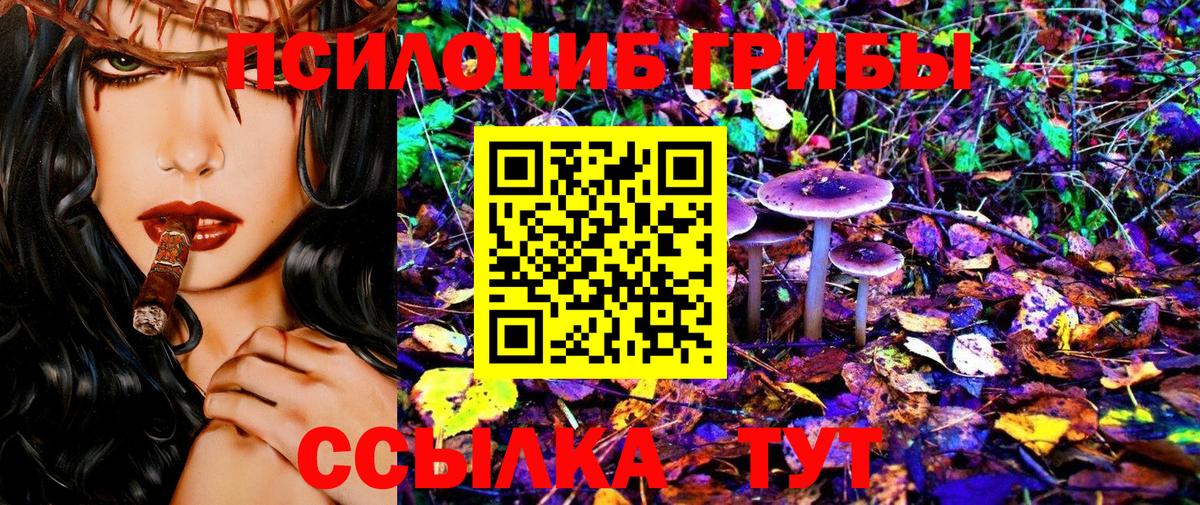 Галлюциногенные грибы Cubensis  Вход с VPN  купить  сайты  Альметьевск 
